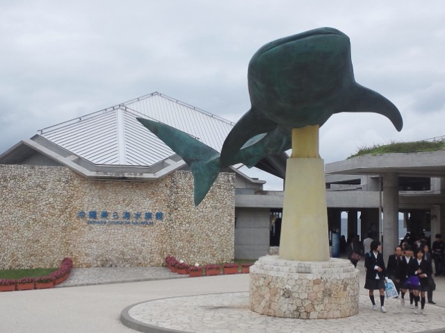 �܂邶��@�܂邶��@����܂���