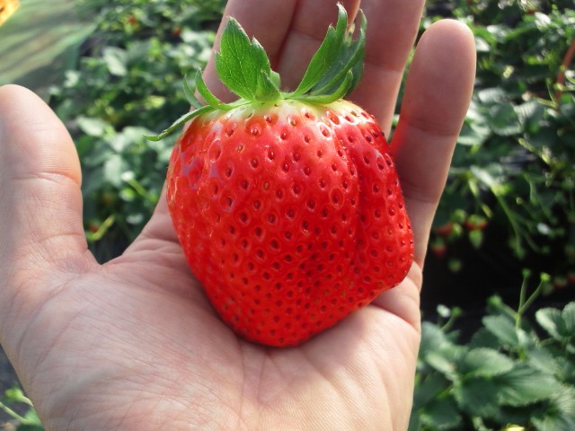 �܂邶��@�܂邶��@����܂���