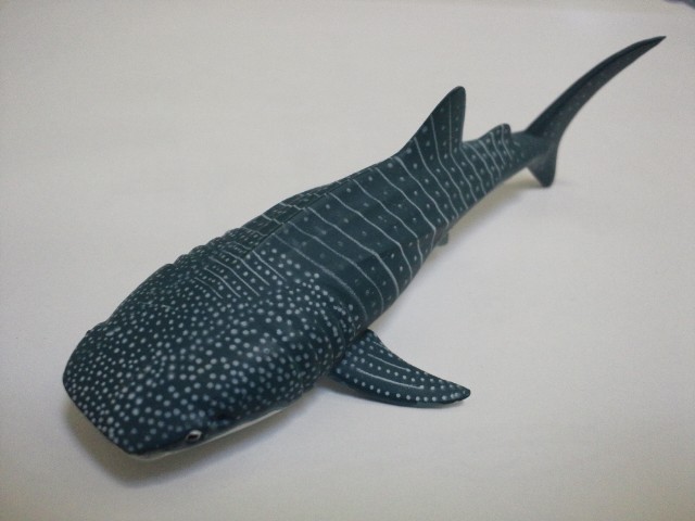 �܂邶��@�܂邶��@����܂���