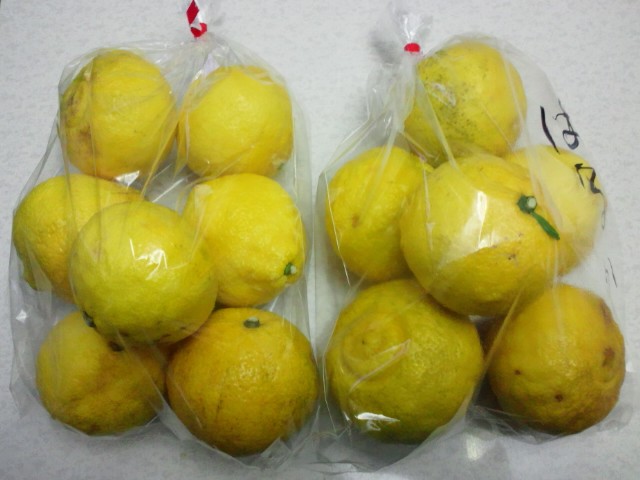 �܂邶��@�܂邶��@����܂���