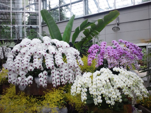 �܂邶��@�܂邶��@����܂���