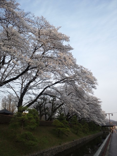 �܂邶��@�܂邶��@����܂���