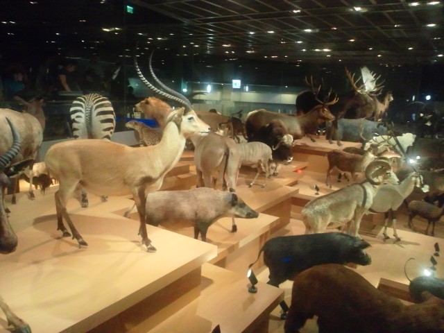 �܂邶��@�܂邶��@����܂���