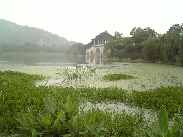 �܂邶��@�܂邶��@����܂���