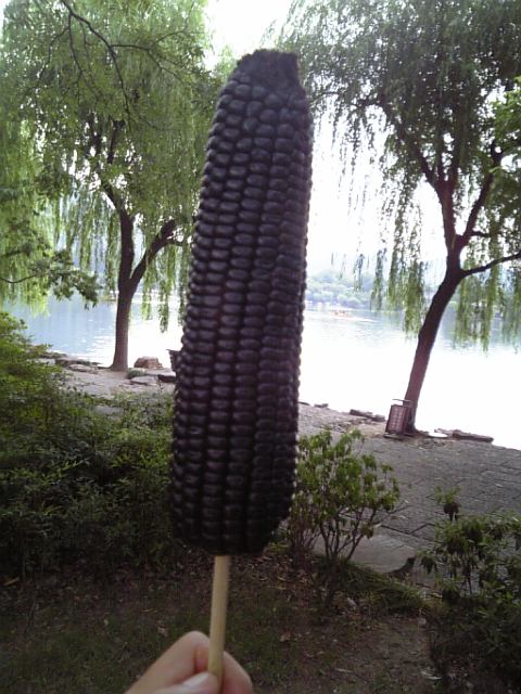 �܂邶��@�܂邶��@����܂���