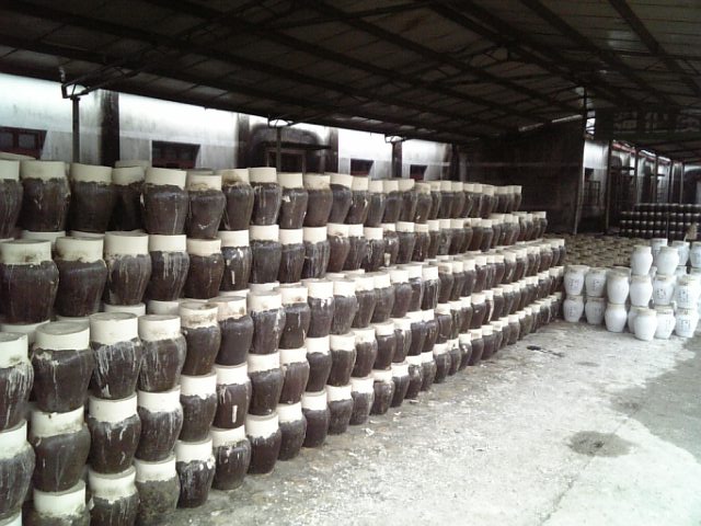 �܂邶��@�܂邶��@����܂���