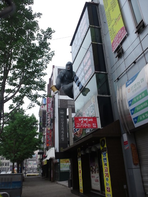 �܂邶��@�܂邶��@����܂���