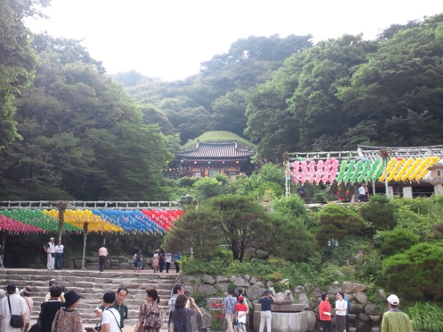 �܂邶��@�܂邶��@����܂���