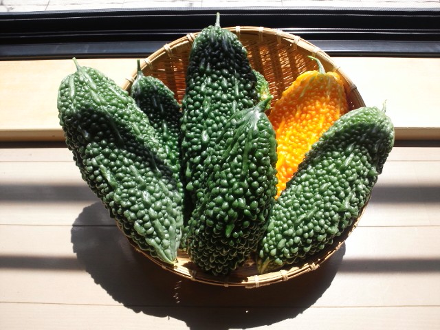 �܂邶��@�܂邶��@����܂���