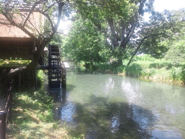 �܂邶��@�܂邶��@����܂���