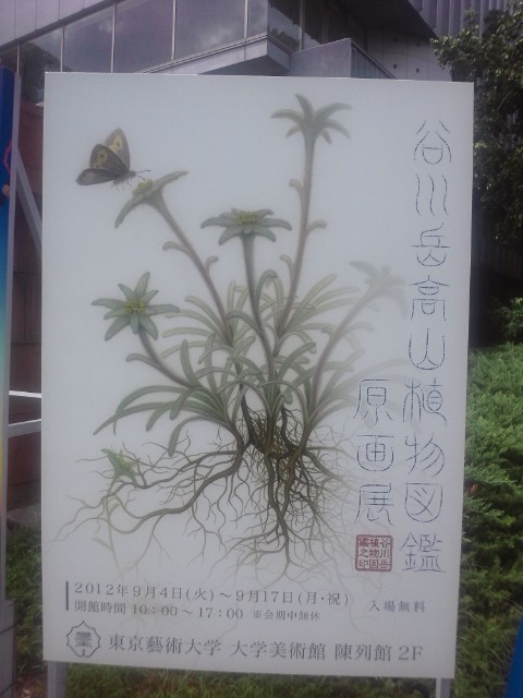 �܂邶��@�܂邶��@����܂���