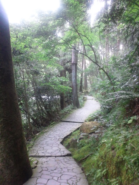 �܂邶��@�܂邶��@����܂���