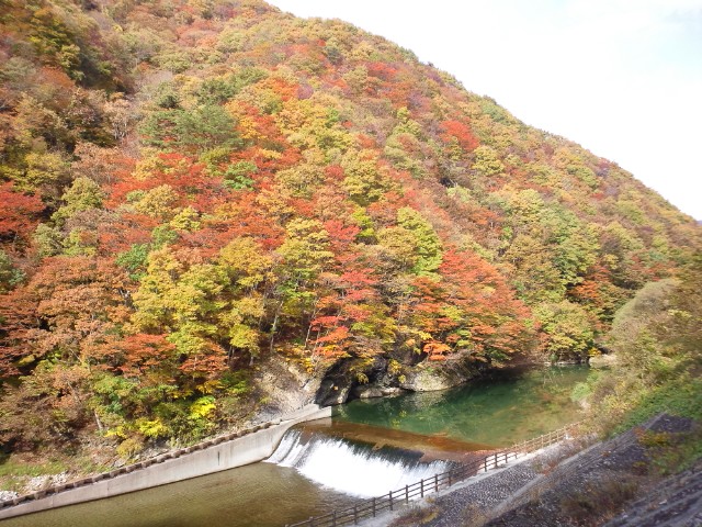 �܂邶��@�܂邶��@����܂���