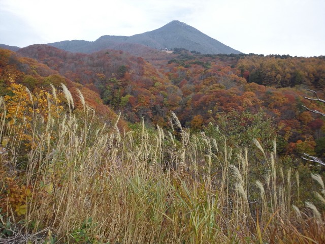 �܂邶��@�܂邶��@����܂���