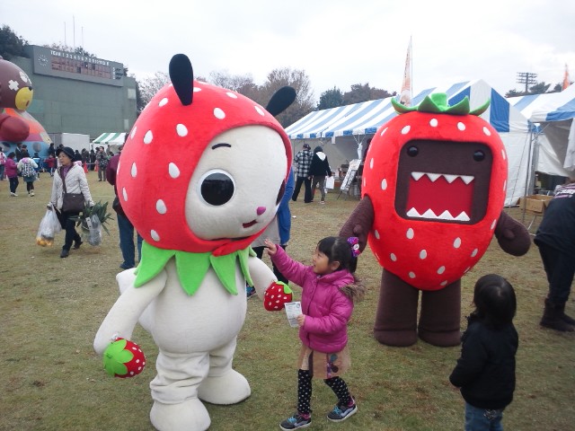 �܂邶��@�܂邶��@����܂���