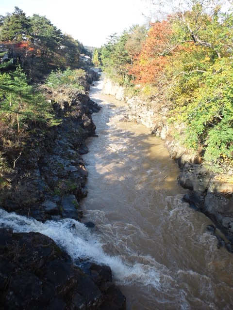 �܂邶��@�܂邶��@����܂���