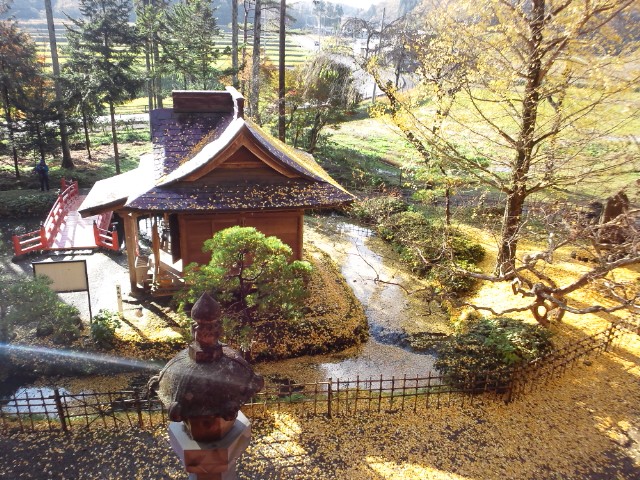 �܂邶��@�܂邶��@����܂���