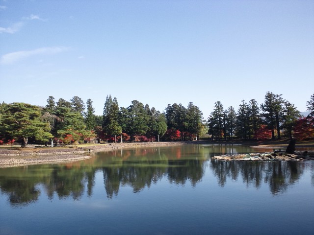 �܂邶��@�܂邶��@����܂���