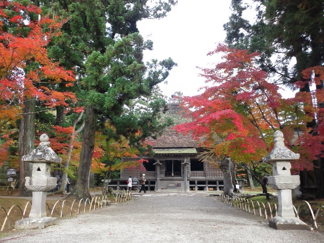 �܂邶��@�܂邶��@����܂���