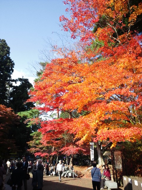 �܂邶��@�܂邶��@����܂���