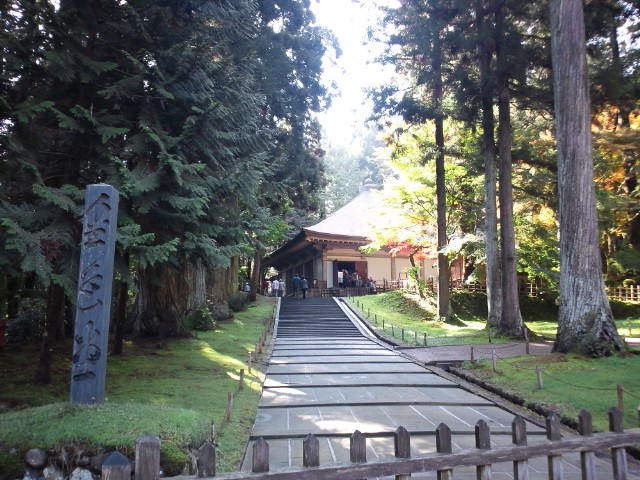 �܂邶��@�܂邶��@����܂���