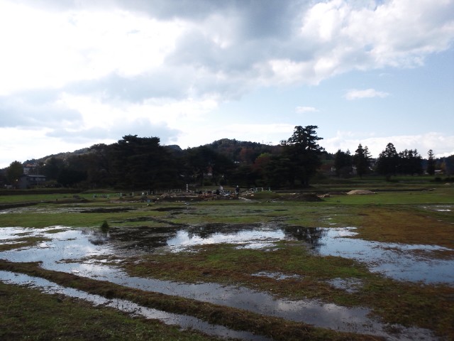 �܂邶��@�܂邶��@����܂���