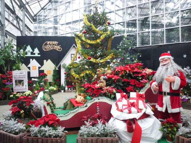 �܂邶��@�܂邶��@����܂���