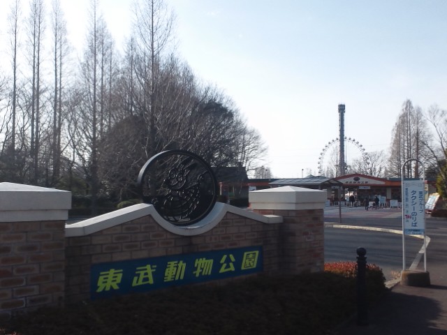 �܂邶��@�܂邶��@����܂���