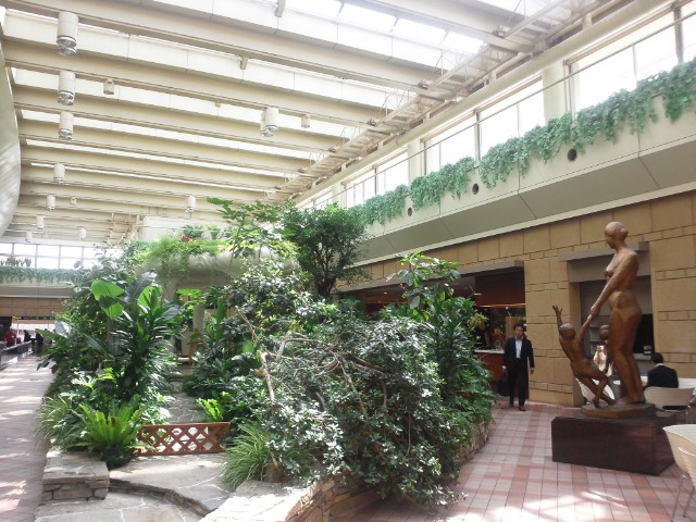 �܂邶��@�܂邶��@����܂���