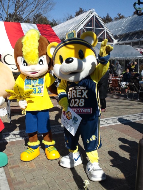 �܂邶��@�܂邶��@����܂���