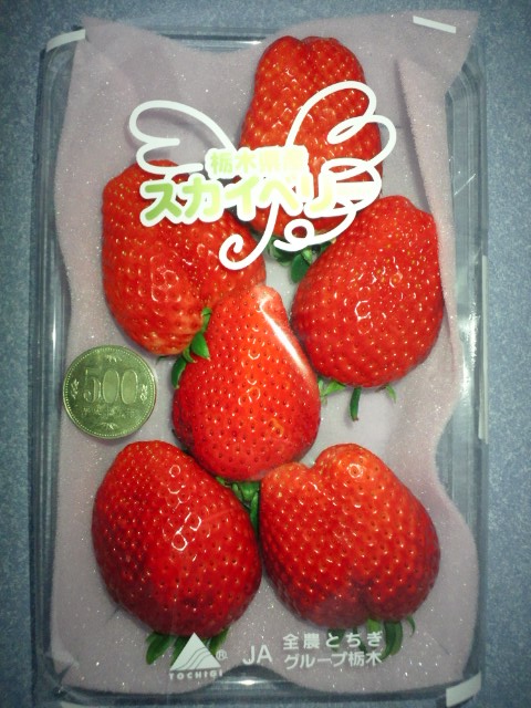 �܂邶��@�܂邶��@����܂���