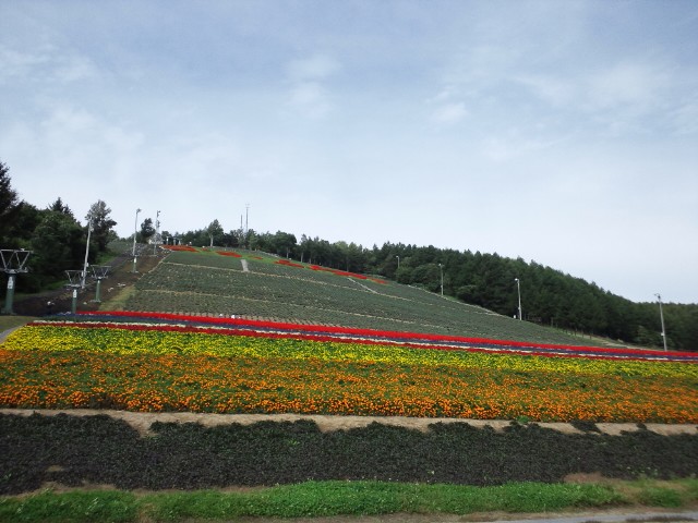 �܂邶��@�܂邶��@����܂���