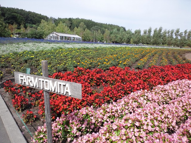 �܂邶��@�܂邶��@����܂���