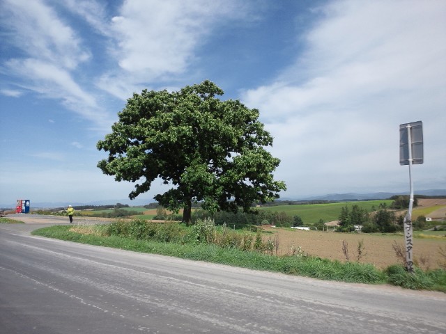 �܂邶��@�܂邶��@����܂���