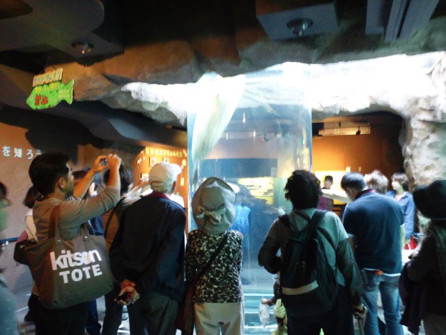 �܂邶��@�܂邶��@����܂���