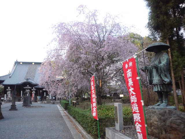 �܂邶��@�܂邶��@����܂���