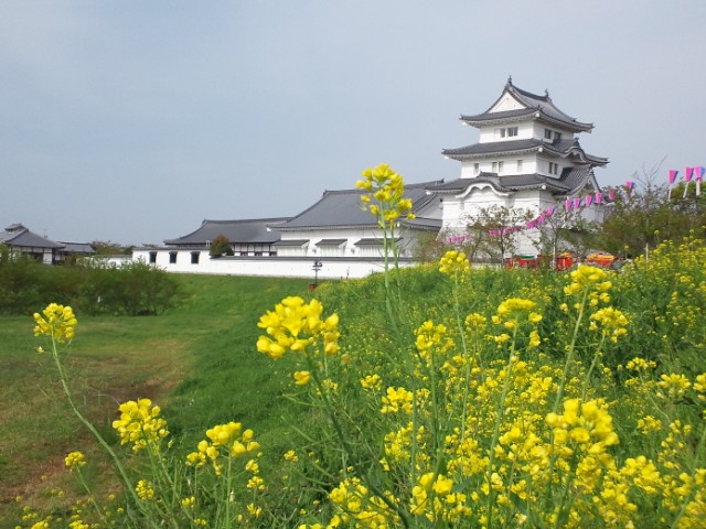 �܂邶��@�܂邶��@����܂���