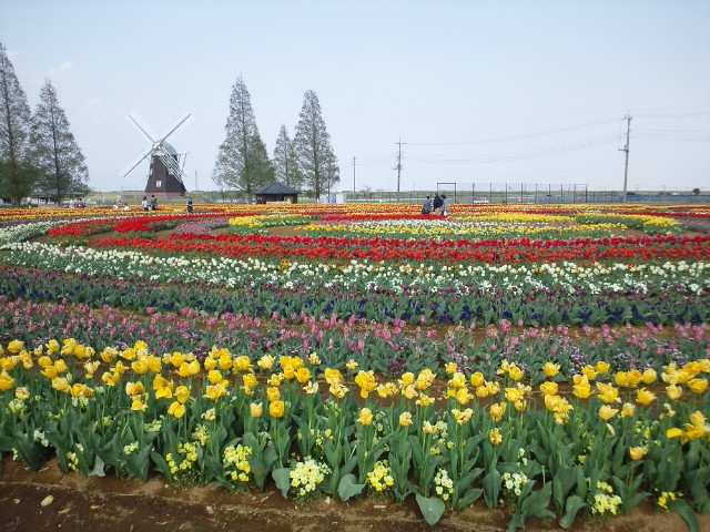 �܂邶��@�܂邶��@����܂���