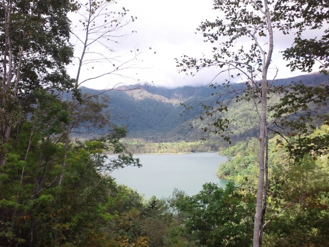 �܂邶��@�܂邶��@����܂���