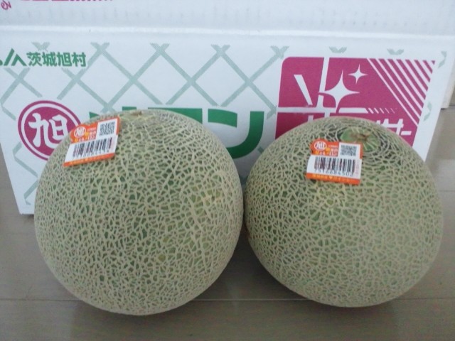 �܂邶��@�܂邶��@����܂���