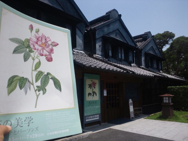 �܂邶��@�܂邶��@����܂���