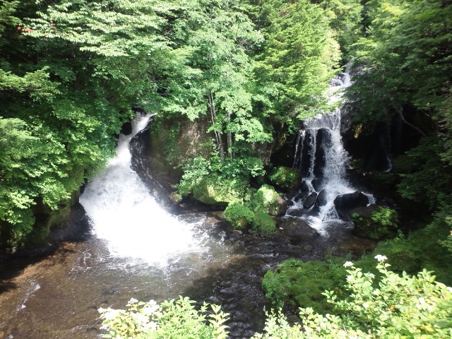 �܂邶��@�܂邶��@����܂���