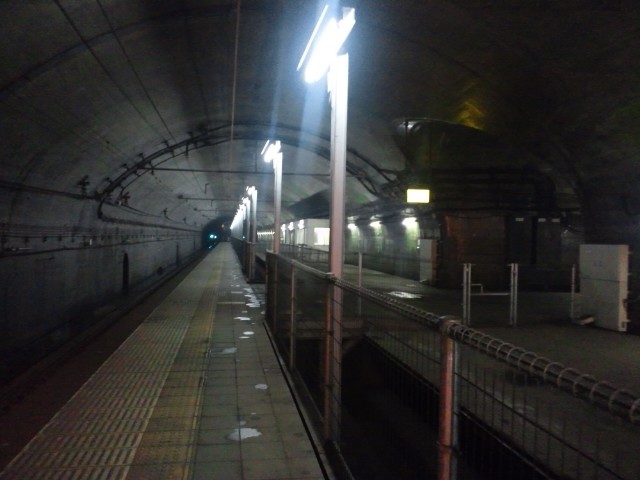 �܂邶��@�܂邶��@����܂���