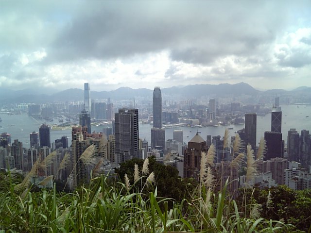 �܂邶��@�܂邶��@����܂���