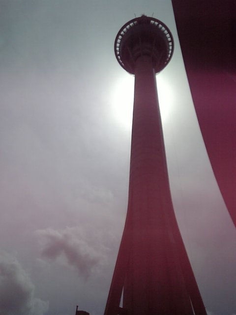 �܂邶��@�܂邶��@����܂���