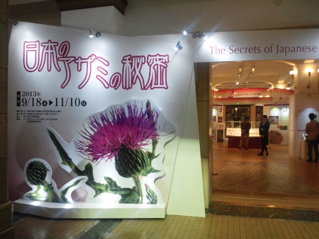 �܂邶��@�܂邶��@����܂���