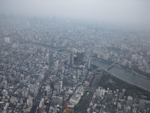 �܂邶��@�܂邶��@����܂���