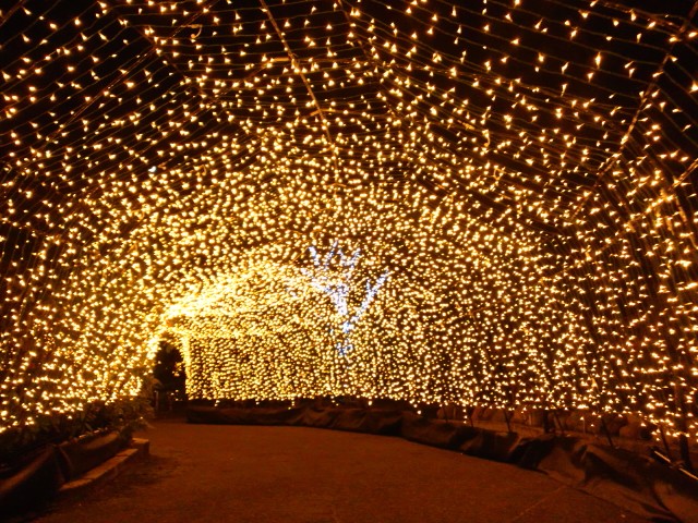 �܂邶��@�܂邶��@����܂���