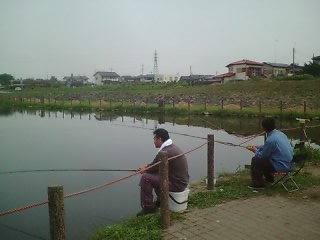 M�z�[���T�|�[�g