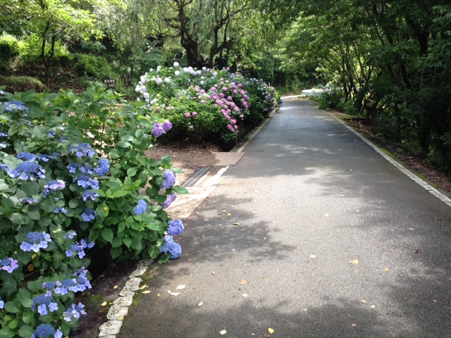 ��M ����֋�blog